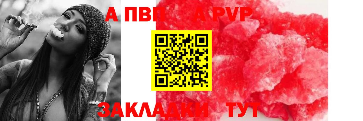 А ПВП СК КРИС Новокубанск