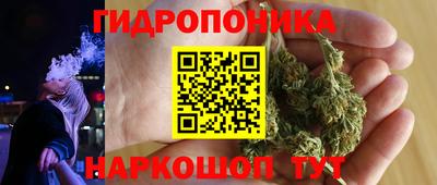 PSILOCYBIN Гусь-Хрустальный