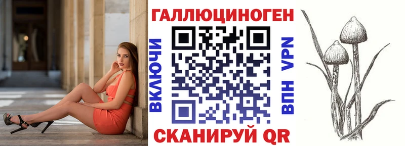 Галлюциногенные грибы GOLDEN TEACHER  цены   omg ONION  darknet как зайти  Новокубанск 