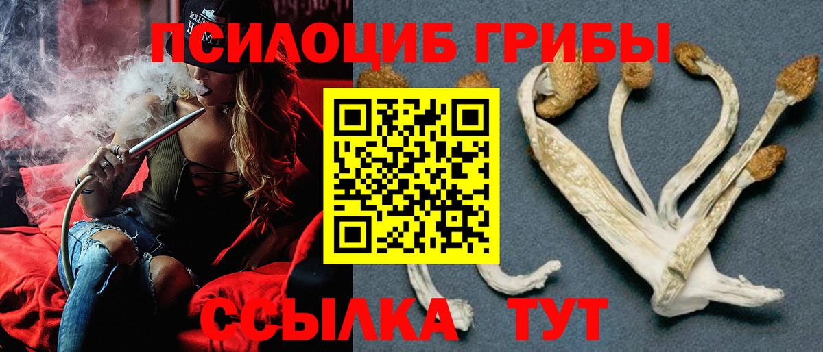 Псилоцибиновые грибы Magic Shrooms Новокубанск