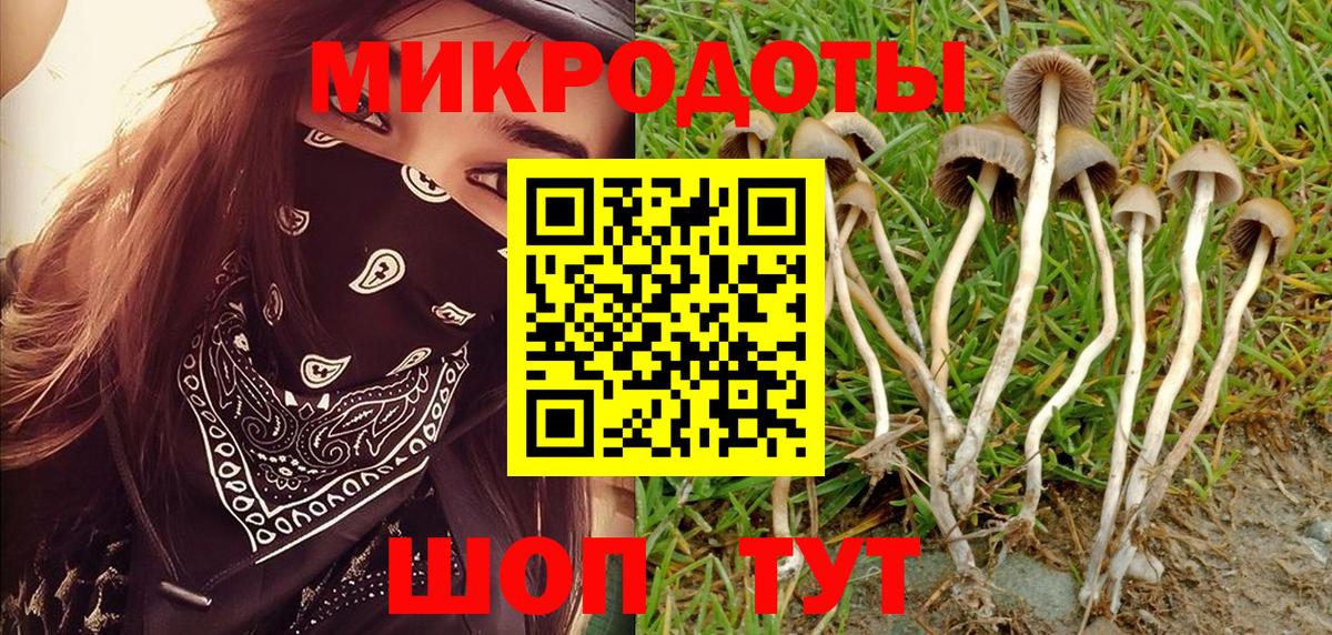 Новокубанск  Псилоцибиновые грибы Psilocybe  Псилоцибиновые грибы мицелий  Вход с VPN 
